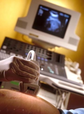 Informazioni sulla nostra azienda - studio medicoecografico dorato